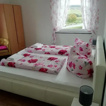 Breidbach Guest house *